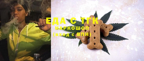 хмурый Новозыбков