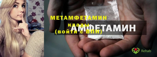 индика Нея