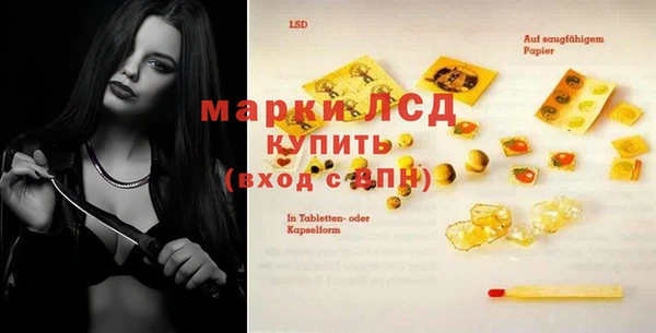 индика Нея