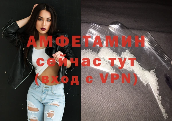 индика Нея