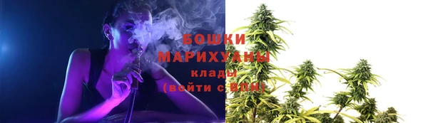 хмурый Новозыбков