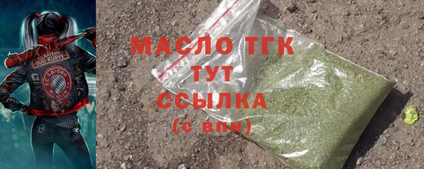 хмурый Новозыбков
