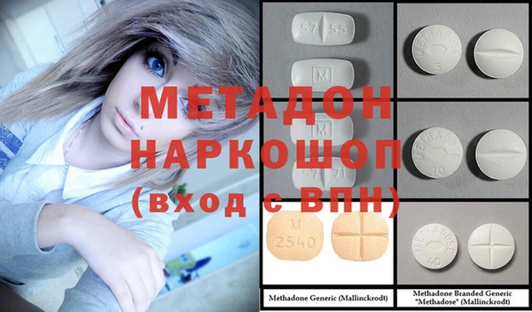 индика Нея