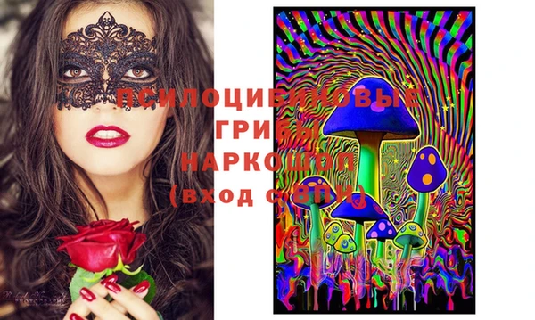 индика Нея