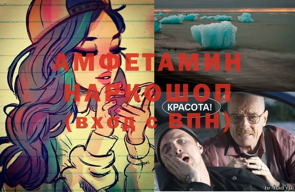 прущие грибы Бежецк